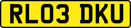 RL03DKU