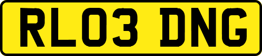 RL03DNG