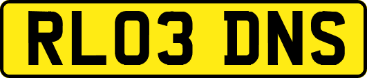 RL03DNS