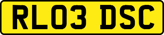 RL03DSC