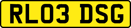 RL03DSG