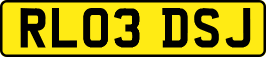 RL03DSJ