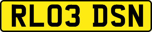 RL03DSN