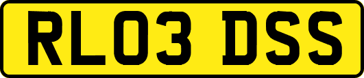 RL03DSS
