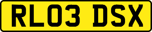 RL03DSX