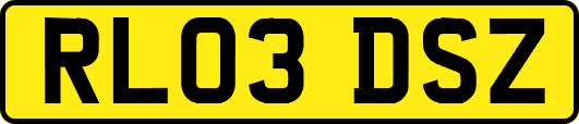 RL03DSZ