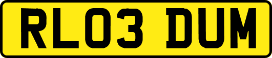 RL03DUM