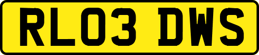 RL03DWS