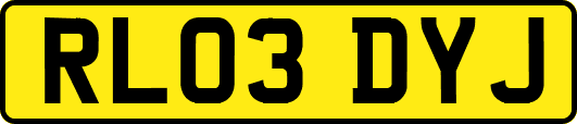 RL03DYJ