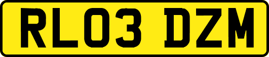 RL03DZM