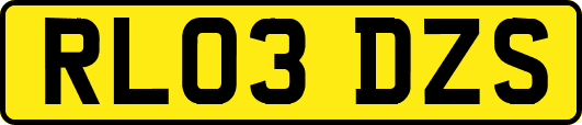 RL03DZS