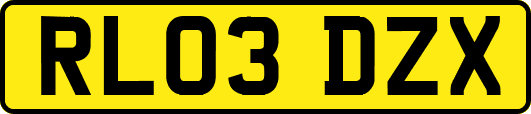RL03DZX