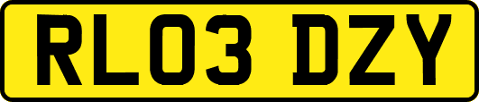 RL03DZY