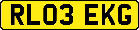 RL03EKG