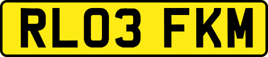 RL03FKM