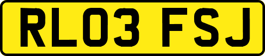 RL03FSJ