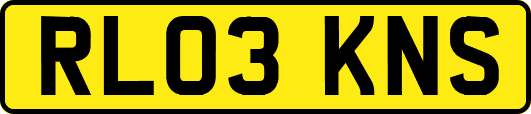 RL03KNS