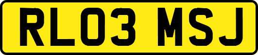 RL03MSJ