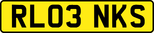 RL03NKS