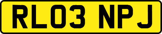 RL03NPJ