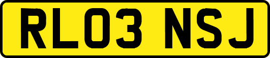 RL03NSJ