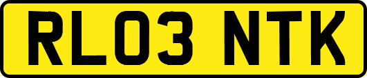 RL03NTK