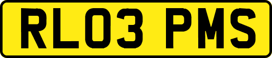 RL03PMS