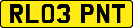 RL03PNT