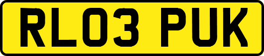 RL03PUK