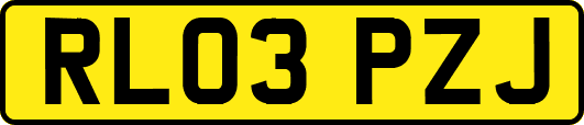 RL03PZJ