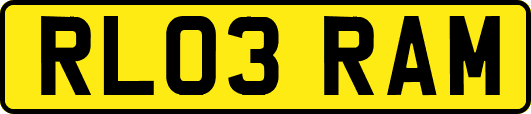 RL03RAM