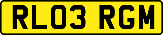 RL03RGM