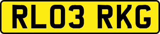 RL03RKG