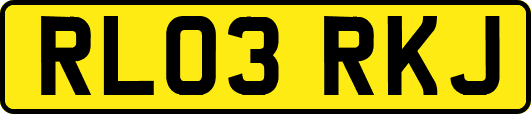 RL03RKJ