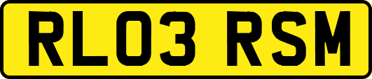 RL03RSM