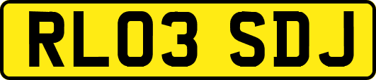 RL03SDJ