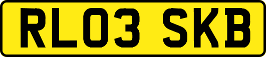 RL03SKB