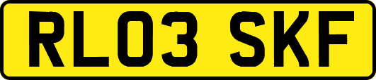 RL03SKF
