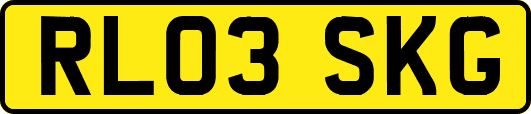 RL03SKG