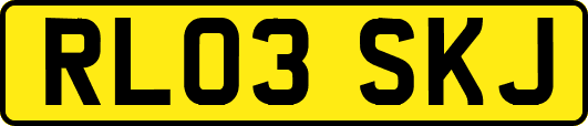 RL03SKJ