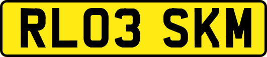 RL03SKM