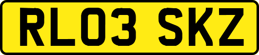 RL03SKZ
