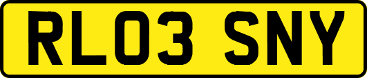 RL03SNY