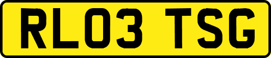RL03TSG