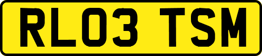 RL03TSM