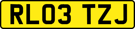 RL03TZJ