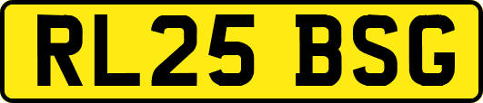 RL25BSG