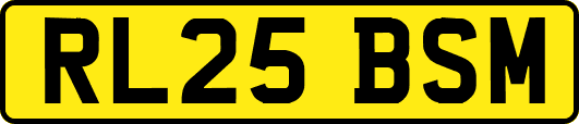 RL25BSM