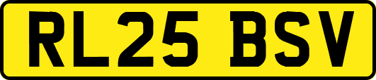 RL25BSV