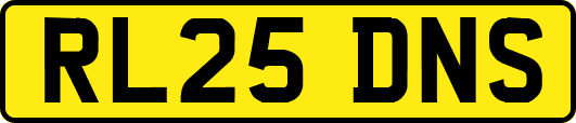 RL25DNS